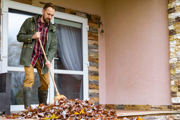 Best Furniture Removal Near Me  in Fairbank, IA